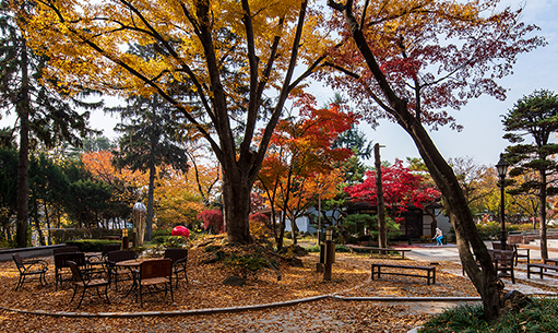 제 2공연장 숲속갤러리 현관 옆 이미지