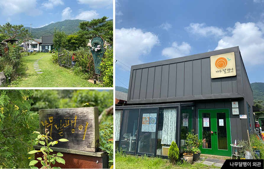 나무달팽이 외관