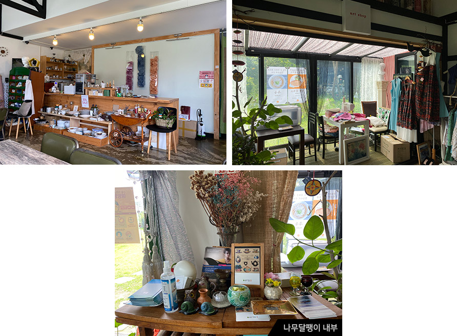 나무달팽이 외관