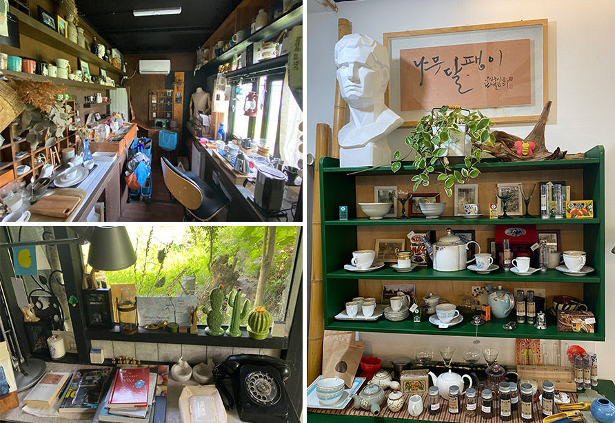 나무달팽이 이미지