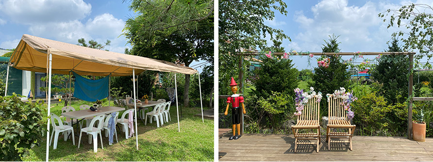 나무달팽이 이미지