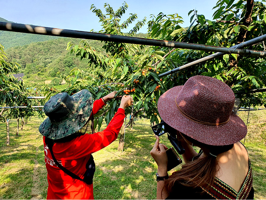 우리들의 삶에서 없어서는 안 될 ‘문화예술’ 이미지 4