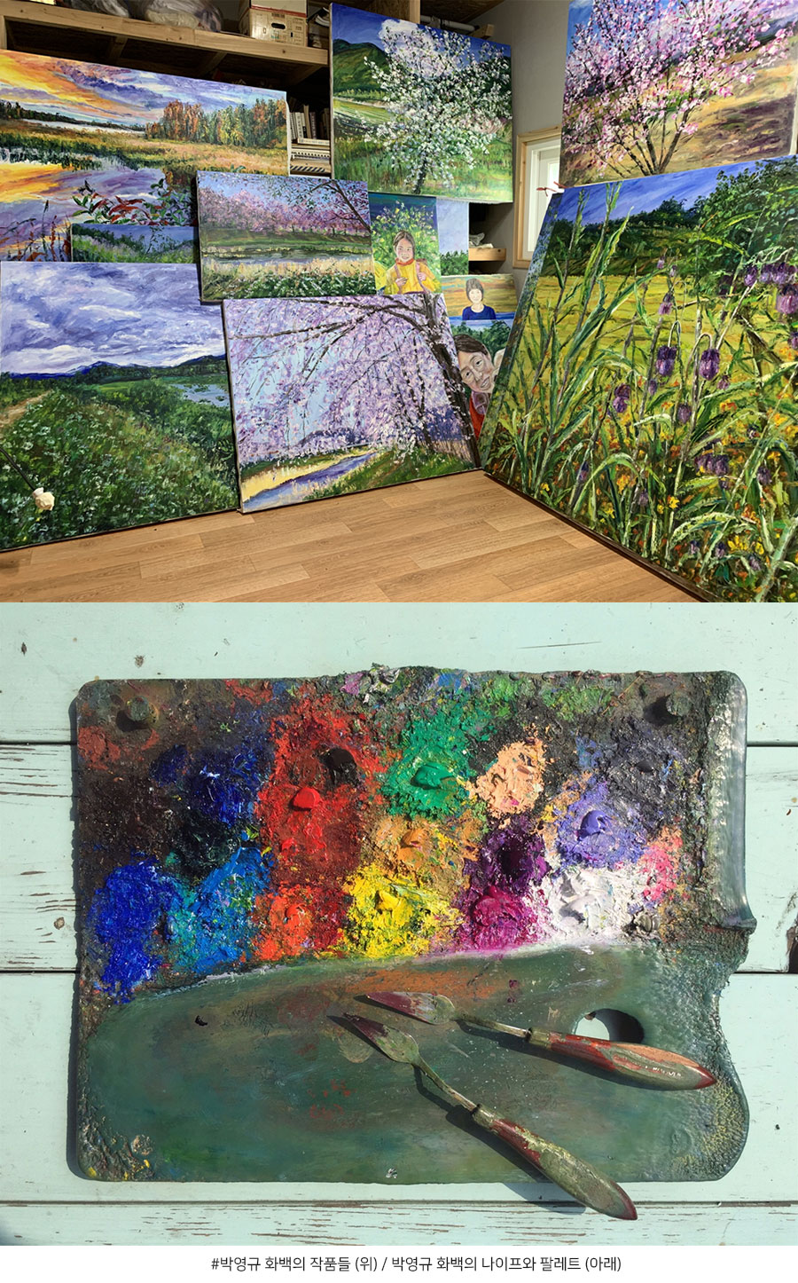 박영규 화백의 작품들 (위) / 박영규 화백의 나이프와 팔레트 (아래)
